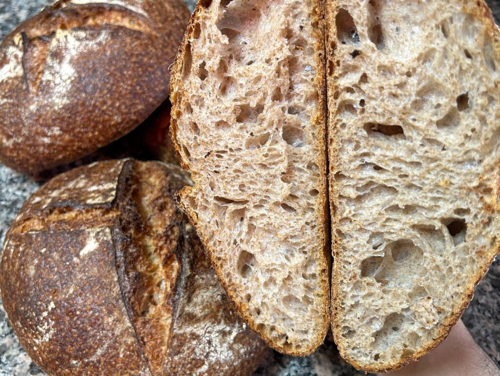 Pagnotte con farina tipo 2 e licoli: una intera con il taglio in superficie e una tagliata a metà