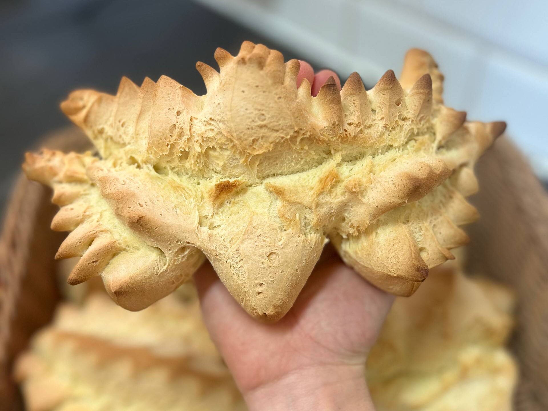 Un coccoi di semola tenuto in mano, con le punte dorate tagliate a forbice, sopra un cesto di altri coccoi