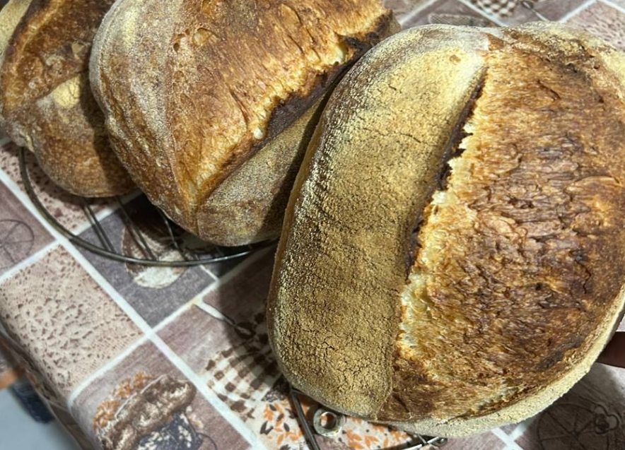 Pagnotte di pane con lievito madre appena sfornate